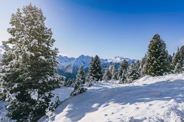 Neve Coberto Árvores Montanhas Alpinas Italianas Durante Inverno Dia Ensolarado — Fotografia de Stock