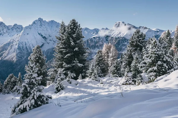 Árboles Cubiertos Nieve Las Montañas Alpinas Italianas Durante Invierno Soleado — Foto de Stock