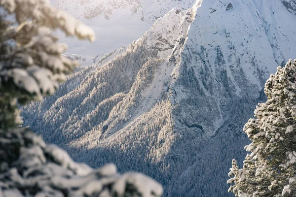 Χιονισμένα Δέντρα Και Βουνό Χιόνι Στο Παρασκήνιο Στις Ιταλικές Άλπεις — Φωτογραφία Αρχείου