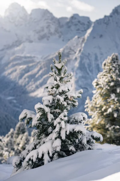 Μικρό Χριστουγεννιάτικο Δέντρο Χιονισμένα Βουνά Καλυμμένα Χιόνι Κατά Διάρκεια Της — Φωτογραφία Αρχείου