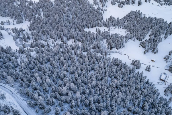 Schneebedeckter Wald Von Oben Italienische Bergwelt Südtirol Beginn Der Wintersaison — Stockfoto