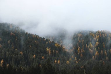Güney Tyrol, İtalya 'daki Alp Dağları' nı kaplayan alçak bulut katmanları.