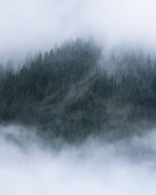 Güney Tyrol, İtalya 'daki Alp Dağları' nı kaplayan alçak bulut katmanları.