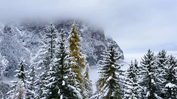 Valle Alpino Cubierto Niebla Rodeado Árboles Nevados Durante Noche Tirol —  Fotos de Stock