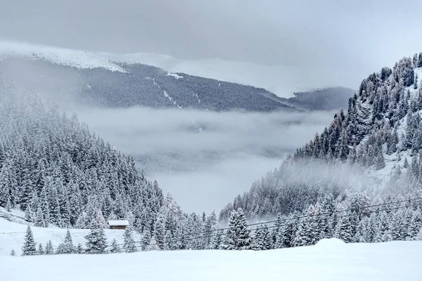 Alpejska Dolina Pokryta Mgłą Otoczona Śnieżnymi Drzewami Wieczorem Południowym Tyrolu — Zdjęcie stockowe