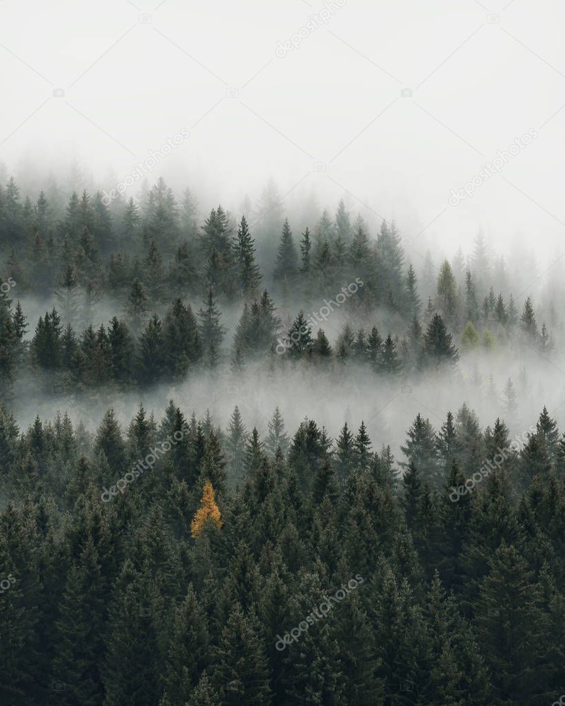 Low cloud layers covering alpine mountain forest in South Tyrol, Italy.