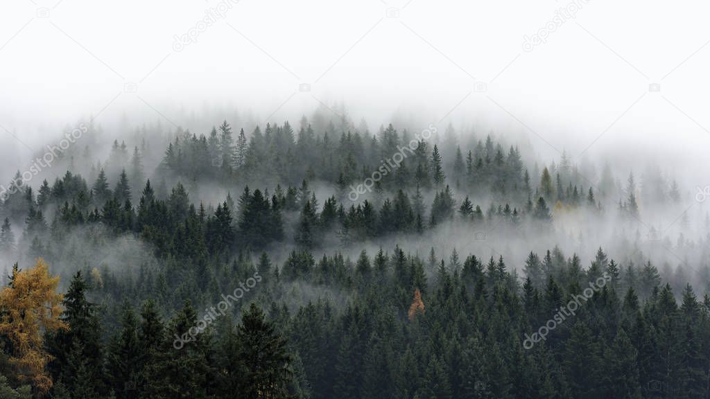 Low cloud layers covering alpine mountain forest in South Tyrol, Italy.