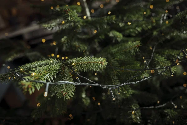 Weihnachtsschmuck Tannenbaumzweige Und Unscharfe Lichter — Stockfoto
