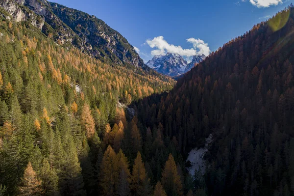 stock image Aerial view of a forest in Italian Alps during autumn season