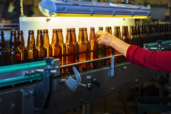 Boş bira şişeleri birden fazla şişe kullanımı için parlak ışık altında kontrol ediliyor (yüksek Iso resim)