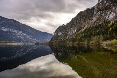 Traunsee Gölü 'nün arka planında Avusturya, Alp Bölgesi' nde orman bulunuyor..