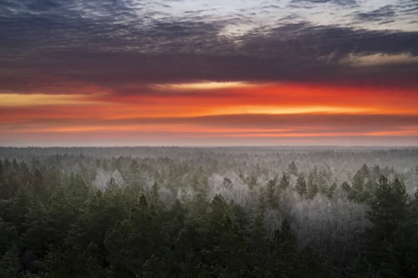 Colorato Cielo All Alba Con Foresta Ghiacciata Primo Piano Durante — Foto Stock