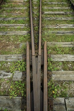 Yeşil çimenli terk edilmiş tren rayları