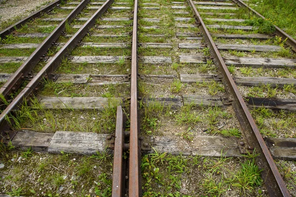 Παλιές Εγκαταλελειμμένες Σιδηροδρομικές Ράγες Πράσινο Γρασίδι — Φωτογραφία Αρχείου