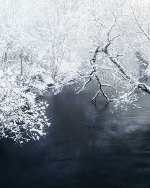 Gauja nehrinin üzerinde karla kaplı ağaçlarla dondurucu soğuk bir sabah..