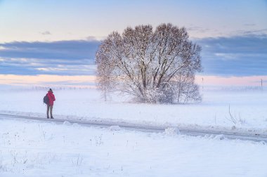Kış gündoğumu karla kaplı bir sis tabakası ve uzaktaki bir insanla