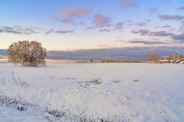 Amanecer Invierno Sobre Campo Cubierto Nieve Con Una Capa Niebla —  Fotos de Stock