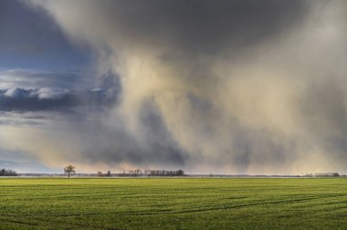 Gün batımında fırtına bulutu oluşumu, önplanda büyük yeşil alan.