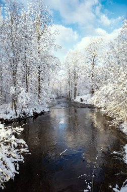 Vizla nehrinin karlı orman parkından geçtiği kış manzarası.