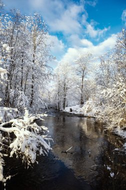 Vizla nehrinin karlı orman parkından geçtiği kış manzarası.