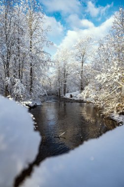 Vizla nehrinin karlı orman parkından geçtiği kış manzarası.