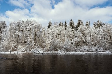 Baltık devletlerinde Gauja nehri kışın derin kar ve mavi gökyüzüyle. 