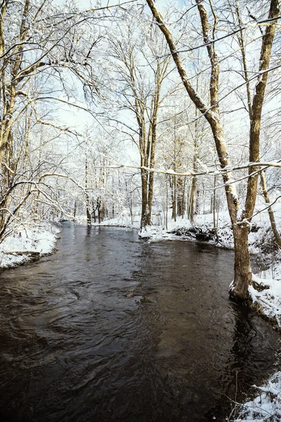 Зимний Пейзаж Рекой Визла Проходящей Через Снежный Лесной Парк — стоковое фото
