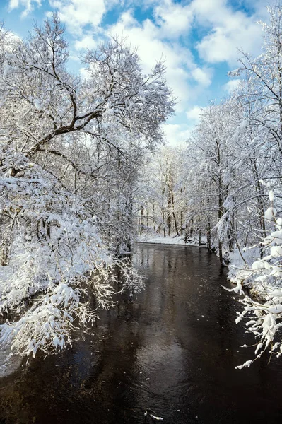 Зимний Пейзаж Рекой Визла Проходящей Через Снежный Лесной Парк — стоковое фото