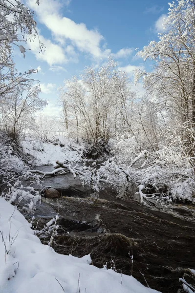 Zimowy Krajobraz Rzeką Vizlą Przechodzącą Przez Zaśnieżony Park Leśny — Zdjęcie stockowe