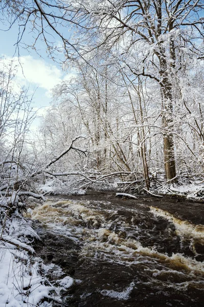 Paisaje Invernal Con Río Vizla Pasando Por Parque Forestal Nevado — Foto de Stock
