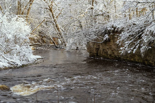 Skaliste Wybrzeże Rzeki Vizla Europie Łotwa Sezonie Zimowym — Zdjęcie stockowe