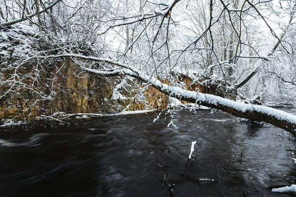 Costa Rocosa Del Río Vizla Europa Letonia Durante Temporada Invierno — Foto de Stock