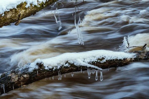 冬季风景 维兹拉河穿过白雪覆盖的森林 特写中的树枝被雪覆盖 — 图库照片