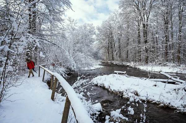 Zimowy Krajobraz Rzeką Vizlą Przechodzącą Przez Zaśnieżony Park Leśny — Zdjęcie stockowe