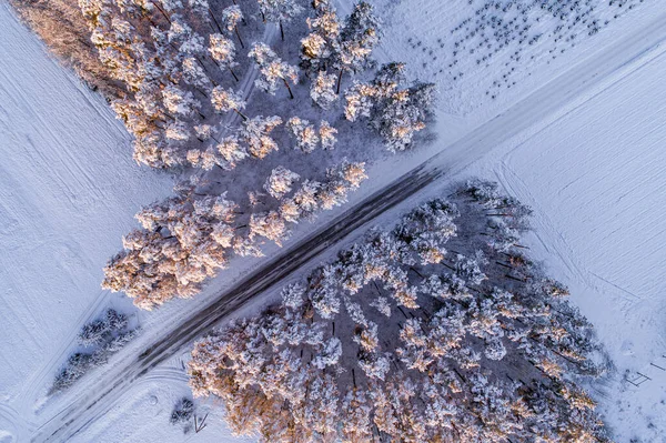 Birds eye view of a pink winter sunrise over snow covered forest