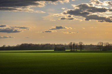 Parlak yeşil tarla, uzun gölgeler ve güzel günbatımı gökyüzü ile. Uzaktaki eski ahır.