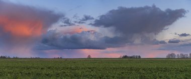 Canlı yeşil tarla dramatik ve renkli günbatımı ile ilkbaharın başlarında yağmurdan sonra gökyüzü 