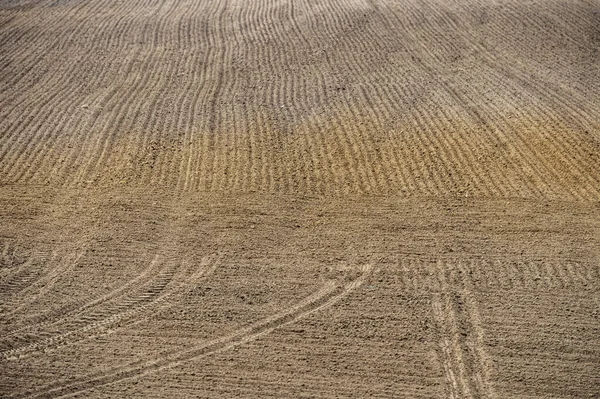 Campo Agricultura Preparado Para Nova Estação Primavera — Fotografia de Stock