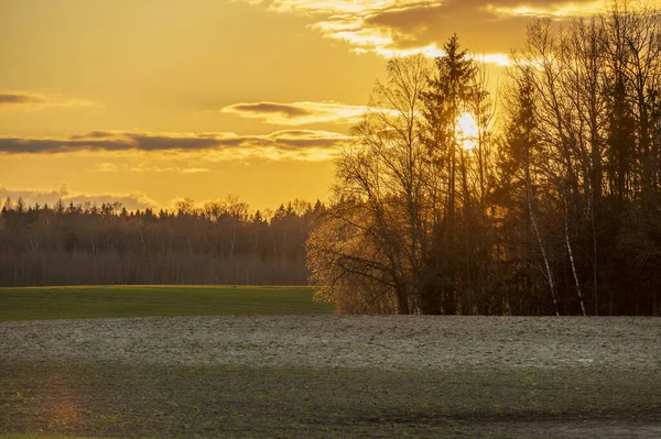 Gebogen Terrein Groene Landbouwvelden Tijdens Zonsondergang — Stockfoto