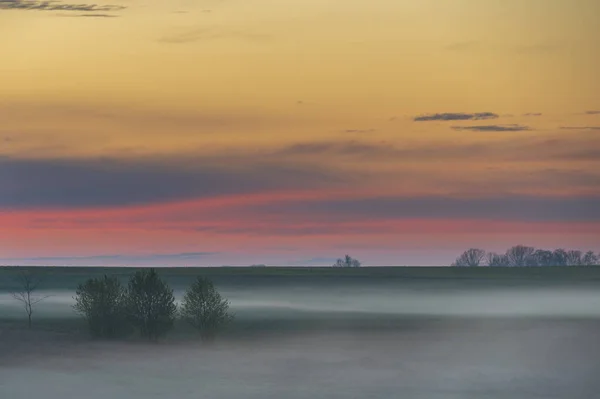 Fog Réteg Mezőgazdasági Területen Tavaszi Naplementekor Magas Iso Kép — Stock Fotó