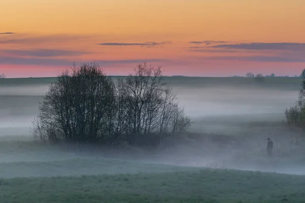 Fog Layers Agricultural Field Spring Sunset High Iso Image — Stock Photo, Image