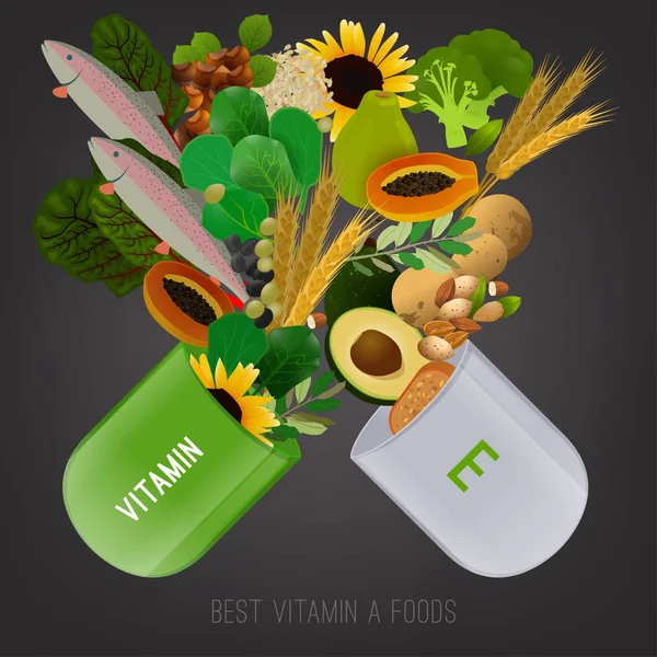 Vitamina E en los alimentos — Vector de stock
