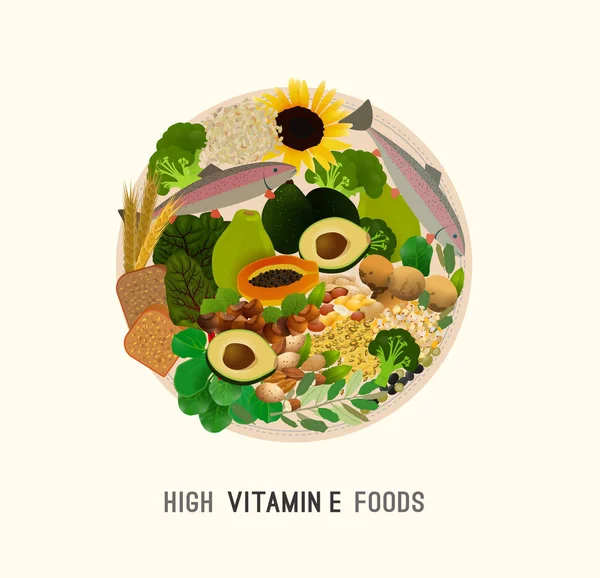 Vitamina E en los alimentos — Vector de stock