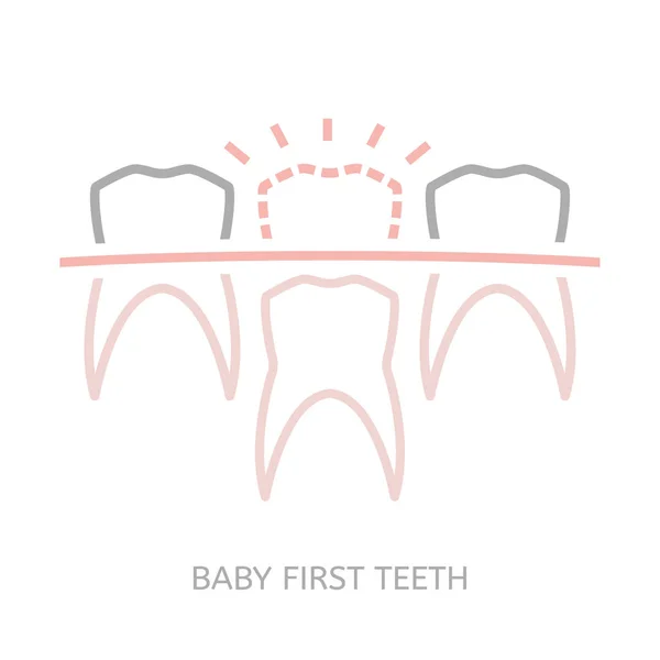 Primer diente de bebé — Vector de stock