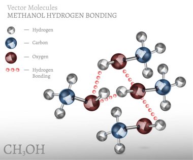 Metanol molekül bağ
