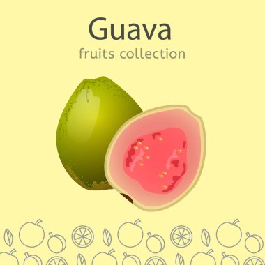 Meyve toplama görüntü