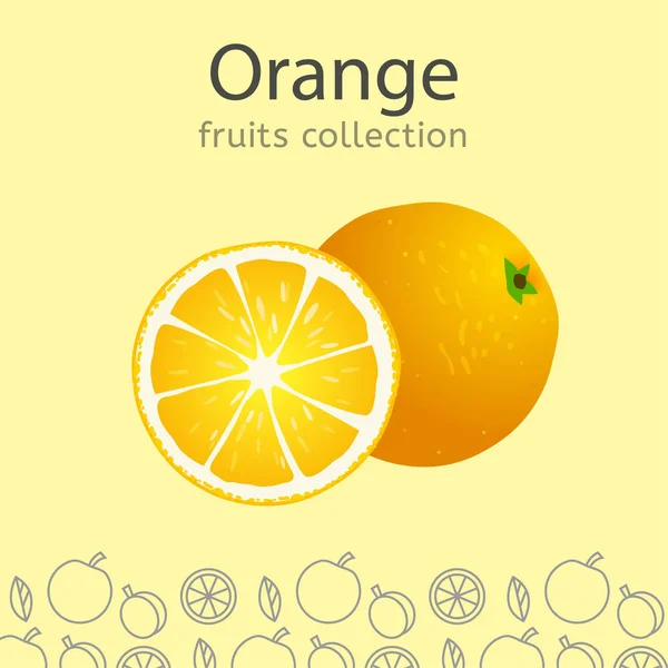 Image de Collection de fruits — Image vectorielle