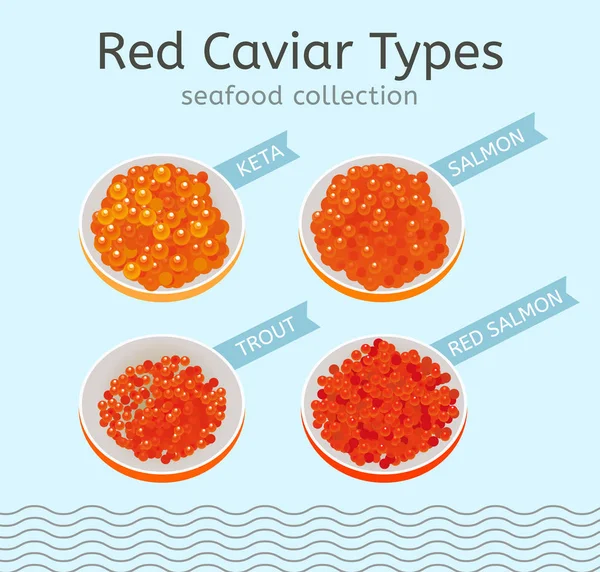Types de caviar rouge — Image vectorielle