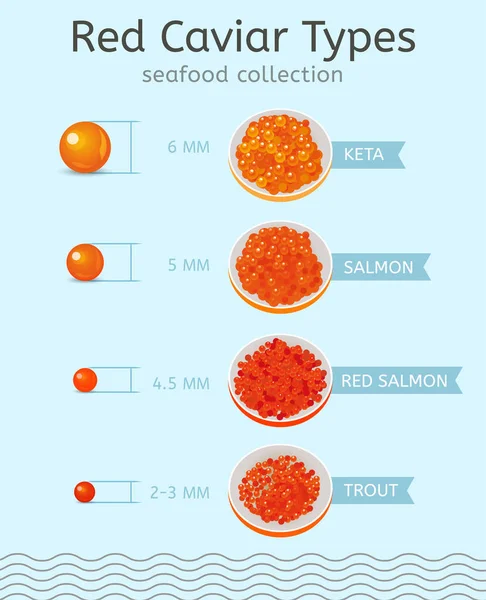 Tipos de caviar rojo — Vector de stock