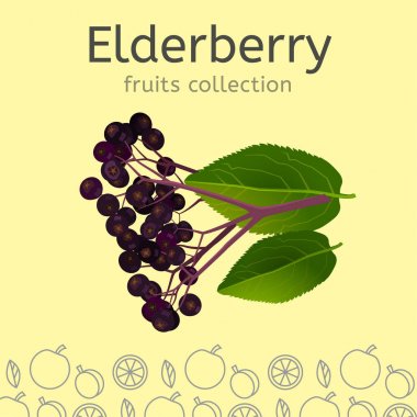 Meyve toplama görüntü